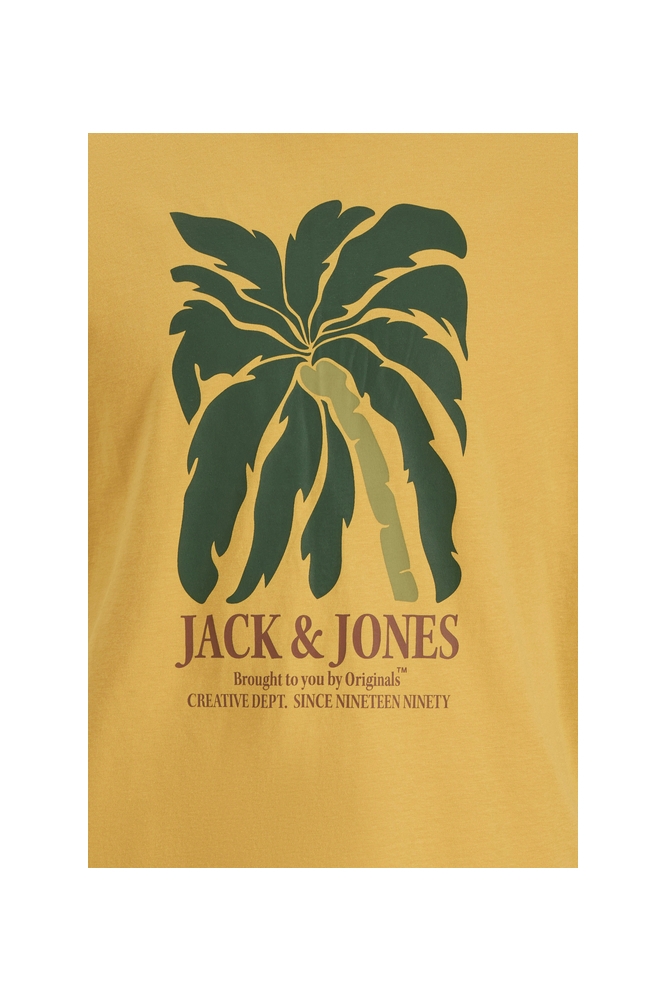 JORDOWN TEE SS CREW NECK STYDSS25 12286110 Golden Apricot